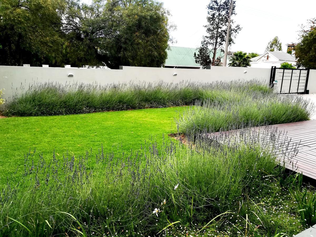 Tranquil House B&B @ 1 College Ave Queenstown Exterior foto